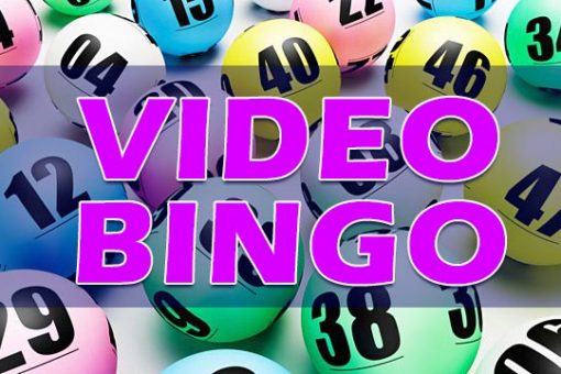 bingo video