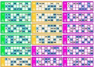 Aprende A Diferenciar Los Distintos Cartones De Bingo Online