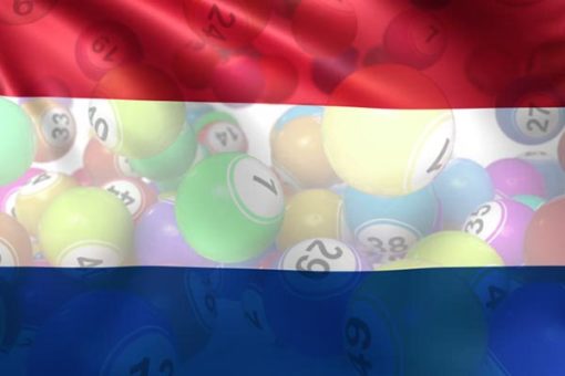 Bingo Nederlands