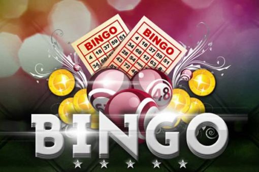 bingo software