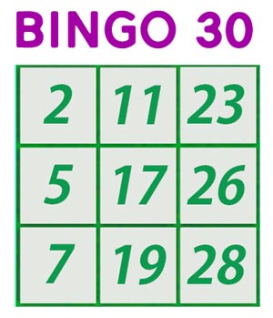 cartelle bingo 30