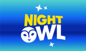 Night Owl Bingo