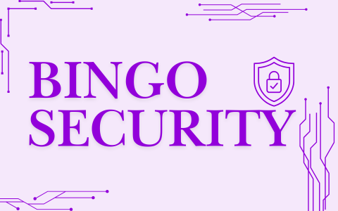 Bingo Security